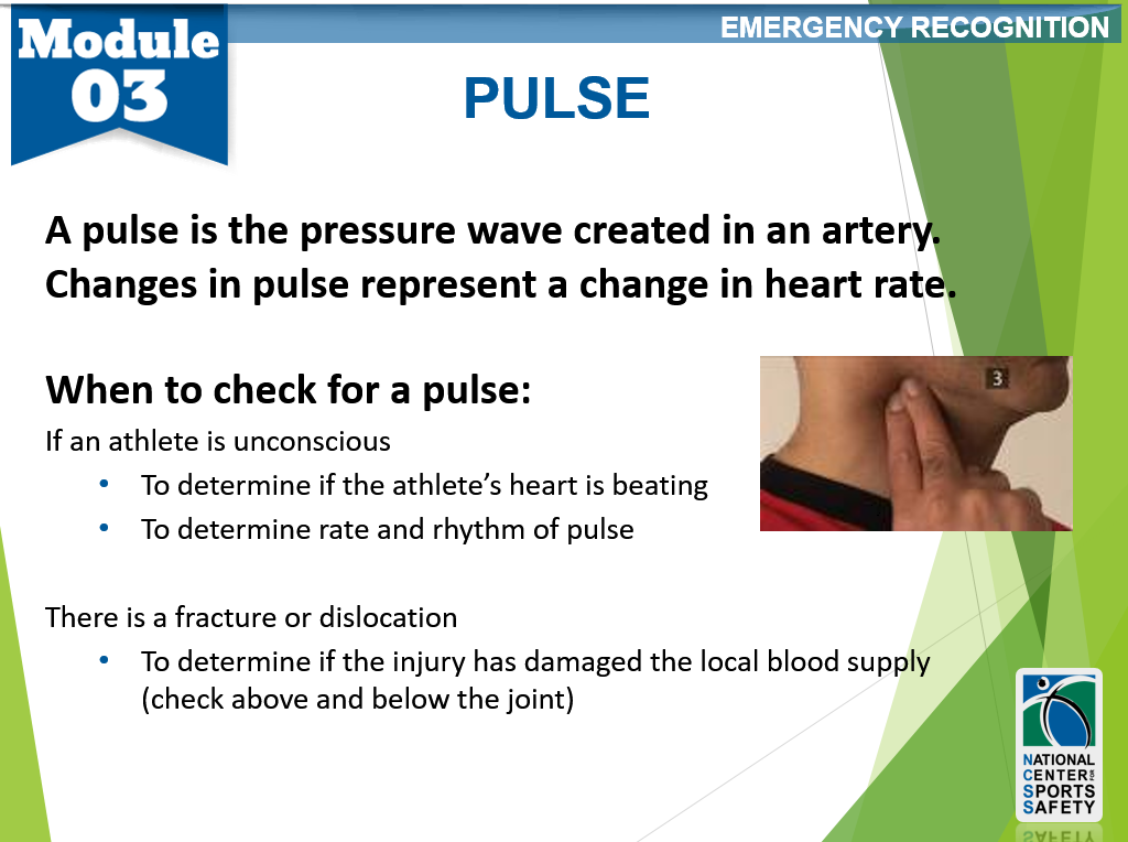 Pulse – National Center for Sports Safety